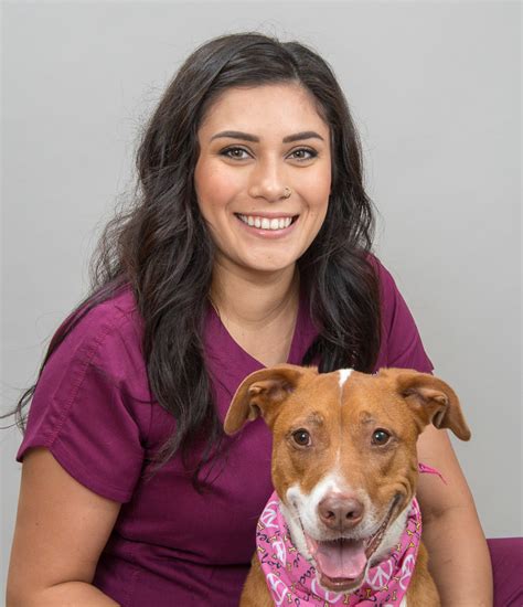 Scottsdale veterinary clinic - 14202 N Scottsdale Rd STE 163. Scottsdale, AZ 85254. Meet the amazing team at Kierland Animal Clinic, committed to providing exceptional veterinary care for pets. Learn more about our compassionate professionals.
